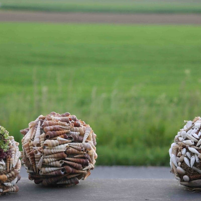 Bloemen voor feesten